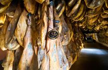 Private tour to Cinco Jotas ham factory from Seville