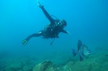 PADI Open Water Diver course for beginners in Tenerife