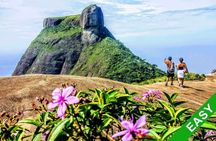 Private guided Tijuca forest express hike