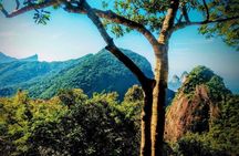 Private guided Tijuca forest express hike