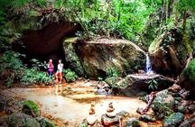 Private guided high level hiking in the Tijuca forest