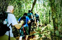 Private guided high level hiking in the Tijuca forest