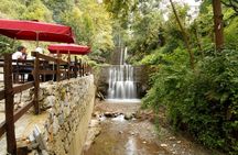 Sapanca and Masukiye guided tour from Istanbul with lunch