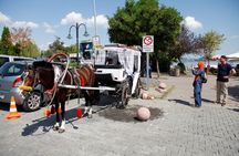 Sapanca and Masukiye guided tour from Istanbul with lunch