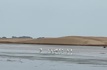 Essaouira Atlas Mountains 4x4 tour with local lunch