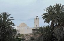 Half day trip to Essaouira oasis