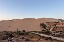 Sandboarding guided experience from Essaouira