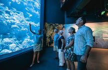 Cairns aquarium twilight two hour guided tour and entrance ticket