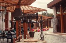 Tirana guided walking tour with castle and museums