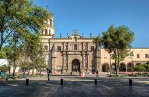 Xochimilco and Coyoacán guided tour