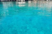Full day boat trip in Alghero from Fertilia