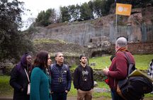 Exclusive small group Colosseum, Palatine Hill, and Roman Forum tour