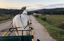 Sardinian pasta workshop and wine experience in an ancient village