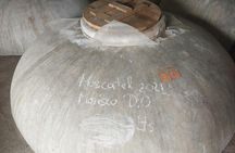 Winery and olive oil mill tour and tasting with tapas