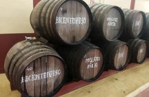 Winery and olive oil mill tour and tasting with tapas