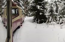 Bakuriani ski resort and Borjomi group tour