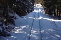Bakuriani ski resort and Borjomi group tour