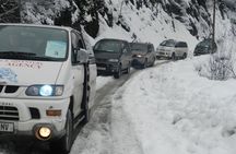 Bakuriani ski resort and Borjomi group tour
