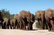 TUI Tours Excursion Package: The world in a beautiful country