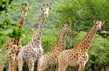 TUI Tours Excursion Package: The world in a beautiful country