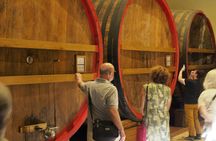 Valpolicella experience, wine and lunch guided tour from Lake Garda
