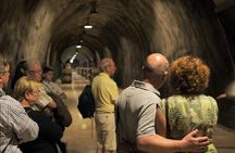 Valpolicella experience, wine and lunch guided tour from Lake Garda