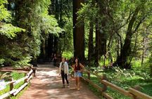 Private Muir Giant Redwoods and Sausalito tour by open top jeep