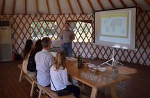 Olive grove and olive oil tasting full day tour from Athens
