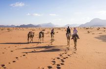 Private Wadi Rum sunset jeep tour from Petra