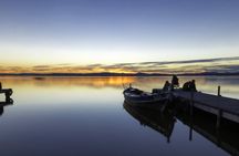 1 day guided tour of Cullera and the Albufera Valenciana from Alicante