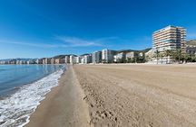 1 day guided tour of Cullera and the Albufera Valenciana from Alicante