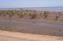 Half-day Nabq National Park safari with lunch in a bedouin tent
