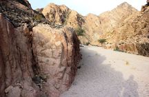 Half-day Nabq National Park safari with lunch in a bedouin tent