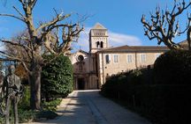 Visit Arles, Les Baux de Provence and St Remy de Provence