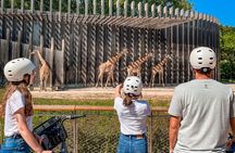 Guided Tour of Lyon's Parc de la Tête d'Or with a local guide