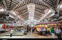 Valencia full-day guided tour from Alicante