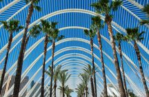 Valencia full-day guided tour from Alicante