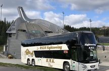 Oslo panorama bus tour