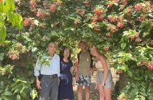Daytrip to Loc Yen Ancient Village and O O Waterfall from Hoi An