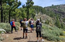 Peaks of Gran Canaria: full-day hiking with pickup and lunch