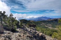 Peaks of Gran Canaria: full-day hiking with pickup and lunch