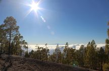 Peaks of Gran Canaria: full-day hiking with pickup and lunch