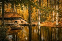 Open Air Museum ticket and self-guided audio tour
