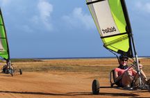 2-hour Blokart tour in Aruba