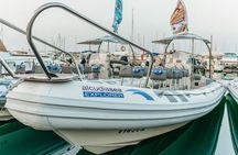 Small-group dolphin watching cruise from Alcudia