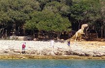 Tour of Brijuni National Park with swimming break in St. Jerolim