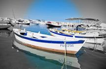 Brijuni National Park 6-hour boating and swimming tour