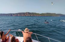 Boat tour with dolphin watching in Sesimbra