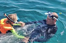 Snorkeling experience in Arrábida's secluded bays