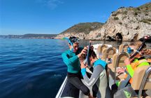 Snorkeling experience in Arrábida's secluded bays
